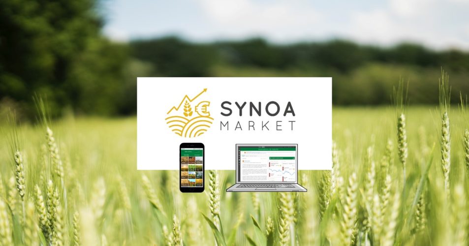 Synoa Market
